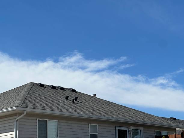 Cold Roofs in Chocowinity, NC